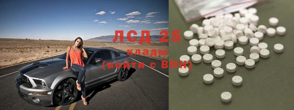спайс Дмитриев