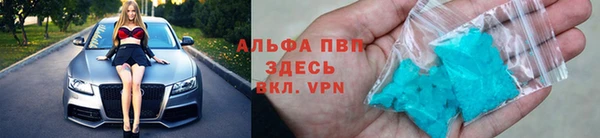 спайс Дмитриев