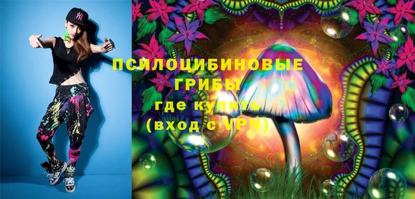 спайс Дмитриев