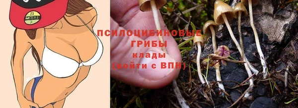 не бодяженный Дмитров