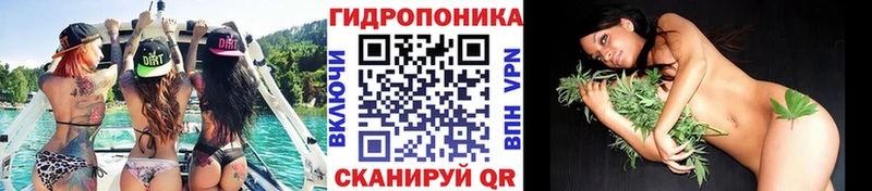 Купить  Чистополь  Бошки марихуана OG Kush 